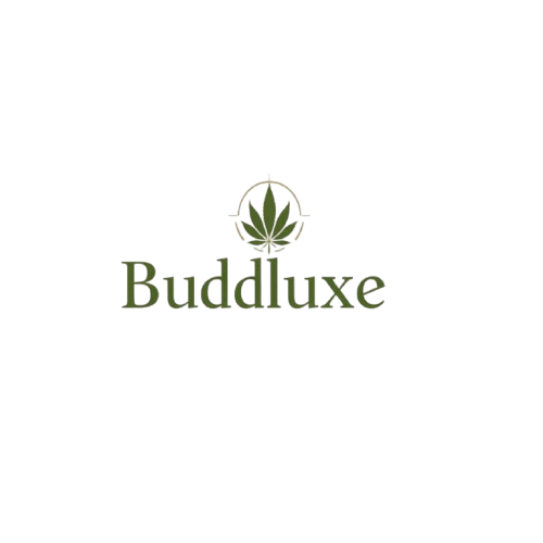 AgriCulture logo, stylized green leaf and sun, representing sustainable farming, on a white background